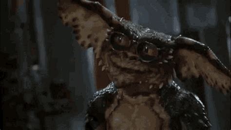 GIPHY is how you search, share, discover, and create GIFs. . Gremlins gif